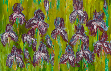 Field of Iris